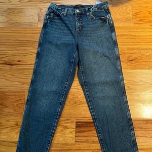 Banana Republic slouch jeans